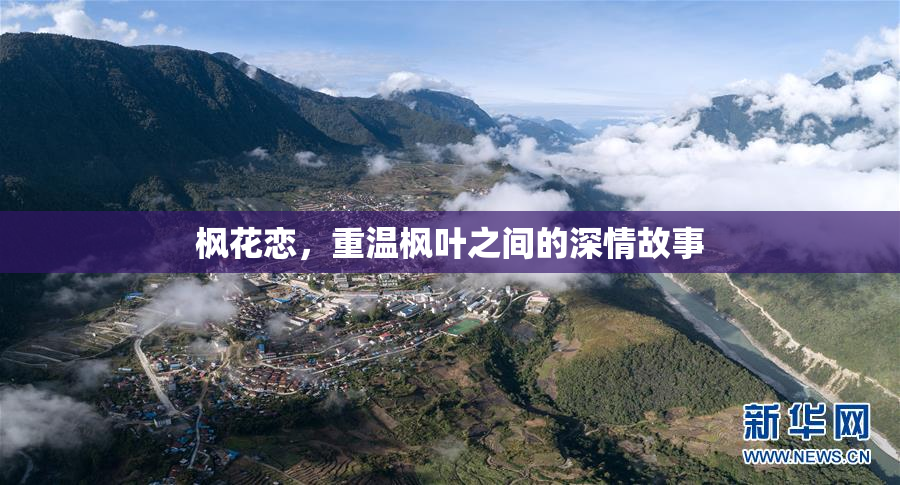 枫花恋，重温枫叶之间的深情故事