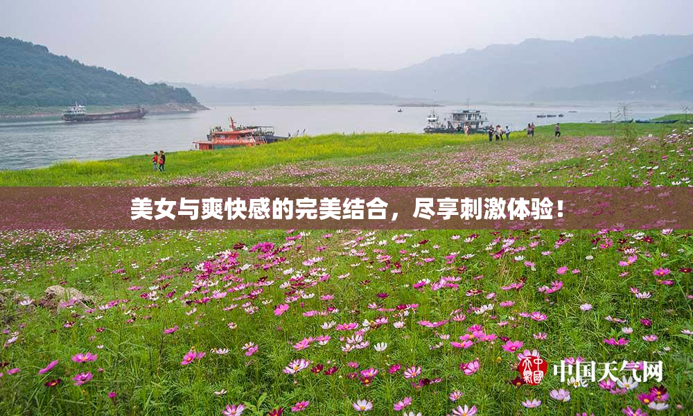 美女与爽快感的完美结合，尽享刺激体验！