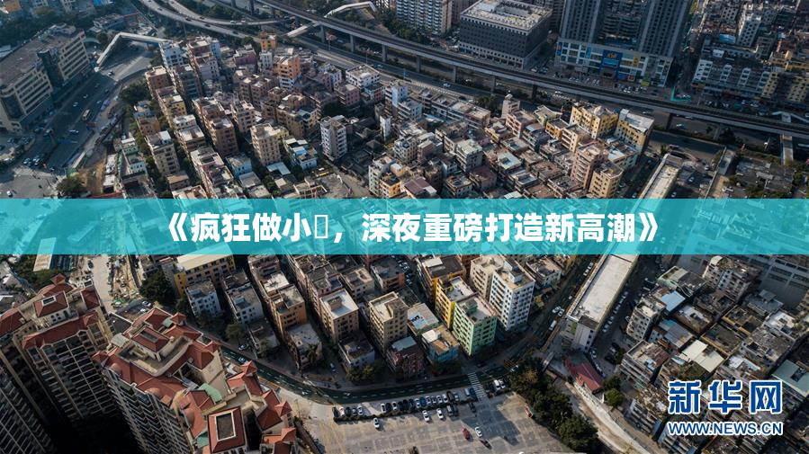 《疯狂做小泬，深夜重磅打造新高潮》