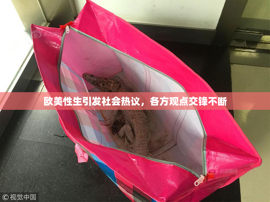 欧美性生引发社会热议，各方观点交锋不断
