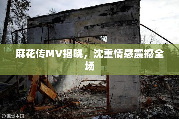 麻花传MV揭晓，沈重情感震撼全场