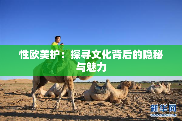 性欧美护：探寻文化背后的隐秘与魅力