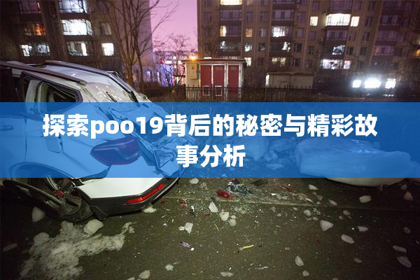 探索poo19背后的秘密与精彩故事分析