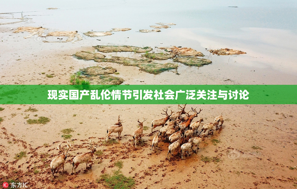 现实国产乱伦情节引发社会广泛关注与讨论
