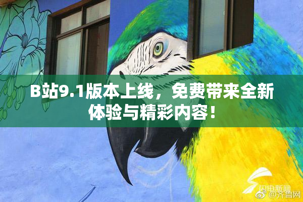 B站9.1版本上线，免费带来全新体验与精彩内容！