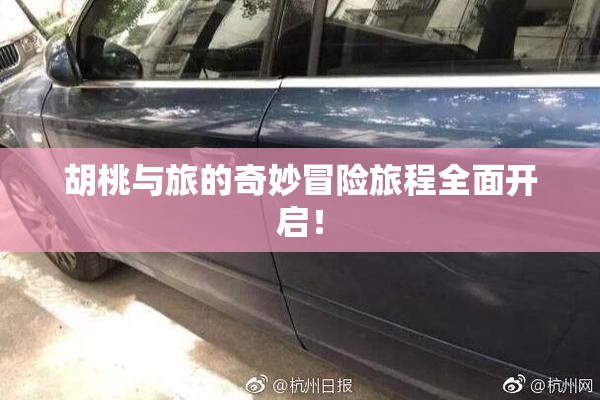 胡桃与旅的奇妙冒险旅程全面开启！