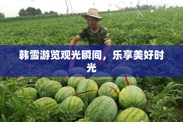 韩雪游览观光瞬间，乐享美好时光