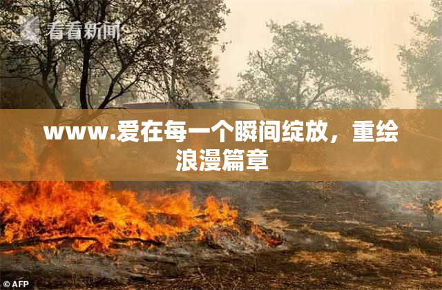 www.爱在每一个瞬间绽放，重绘浪漫篇章