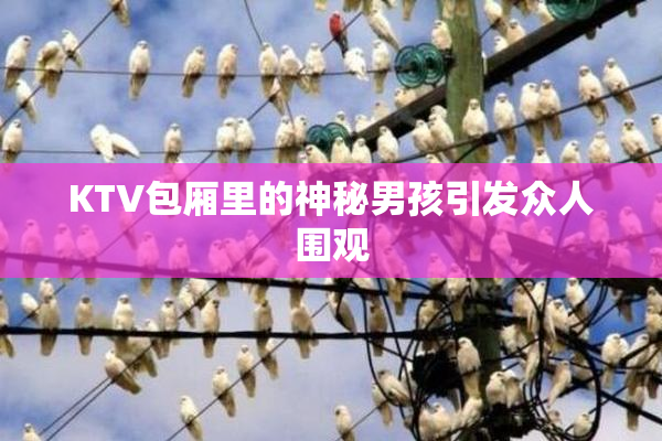 KTV包厢里的神秘男孩引发众人围观