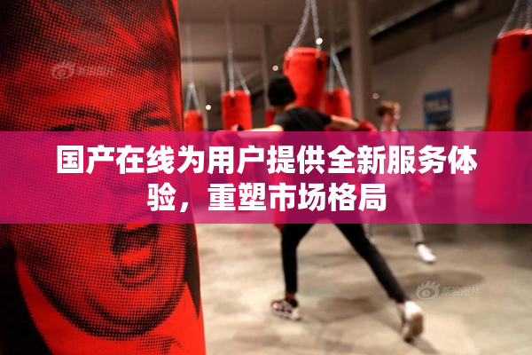 国产在线为用户提供全新服务体验，重塑市场格局