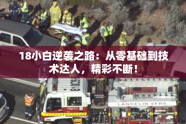 18小白逆袭之路：从零基础到技术达人，精彩不断！
