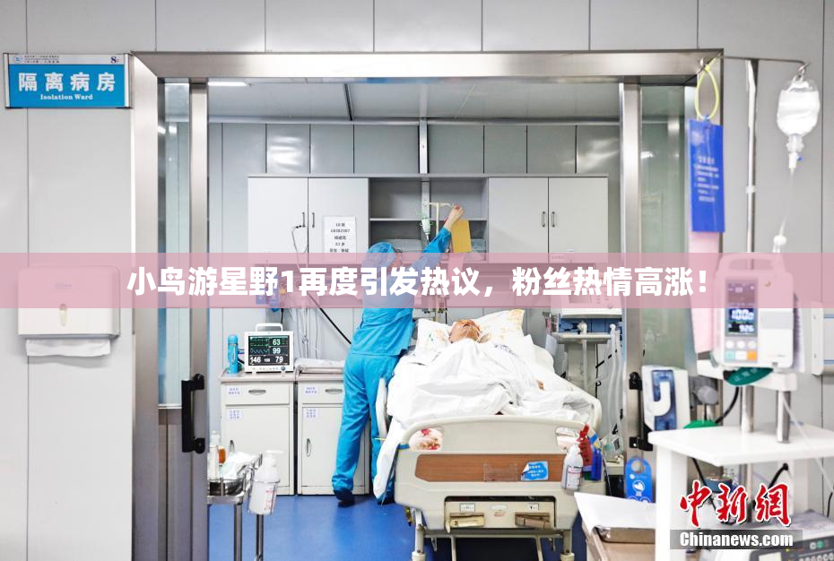小鸟游星野1再度引发热议，粉丝热情高涨！