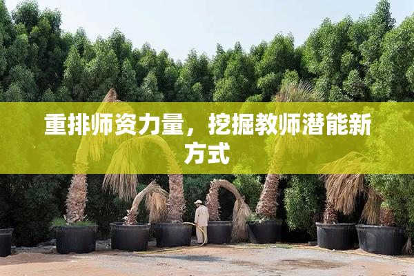 重排师资力量，挖掘教师潜能新方式