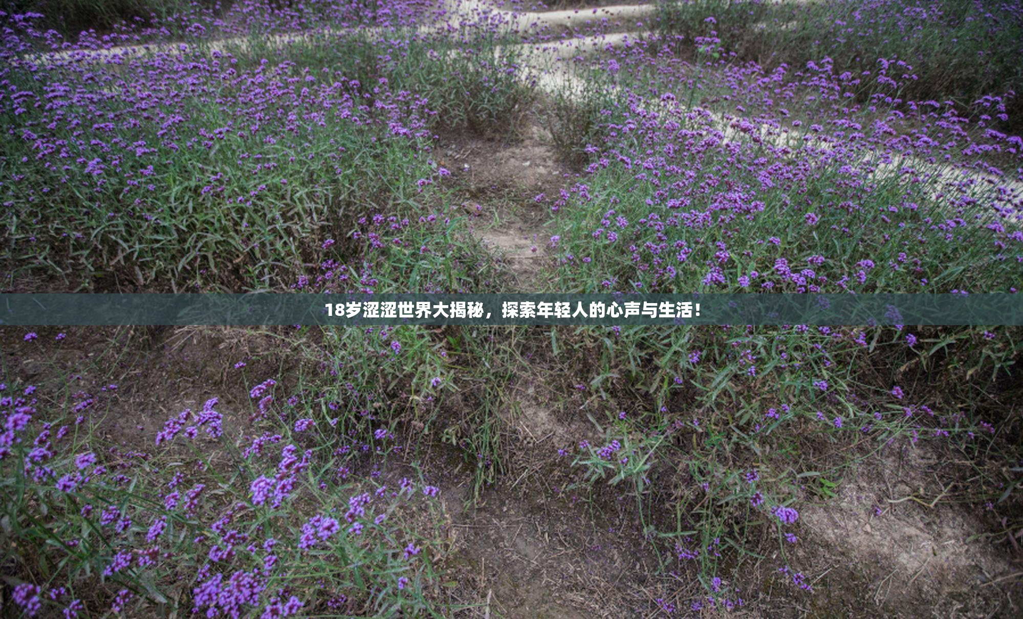 18岁涩涩世界大揭秘，探索年轻人的心声与生活！