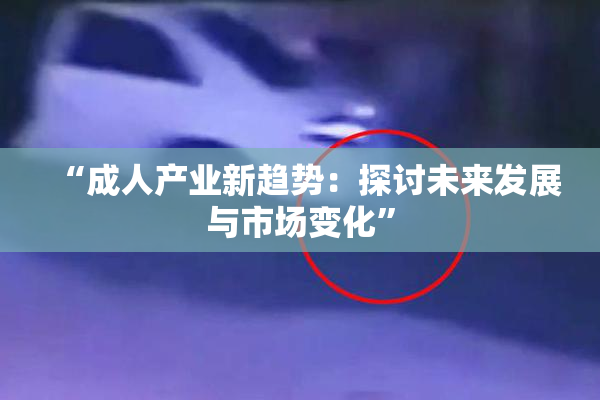 “成人产业新趋势：探讨未来发展与市场变化”