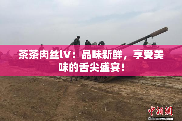 茶茶肉丝lV：品味新鲜，享受美味的舌尖盛宴！