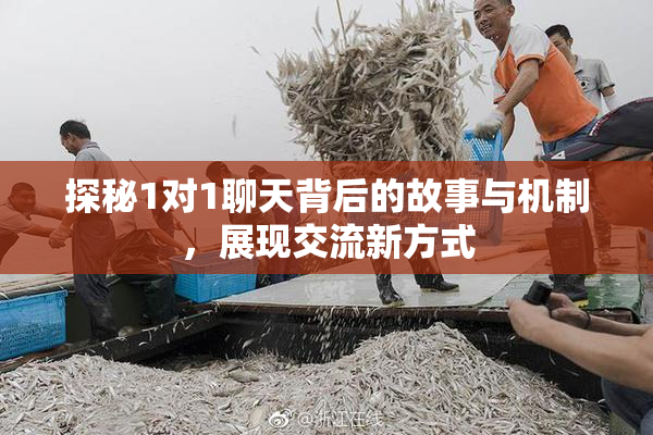 探秘1对1聊天背后的故事与机制，展现交流新方式