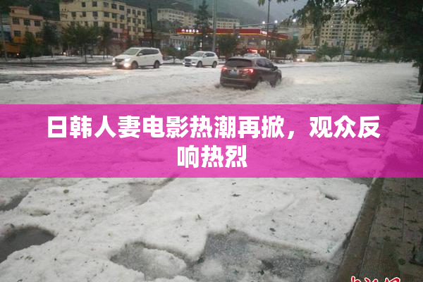 日韩人妻电影热潮再掀，观众反响热烈