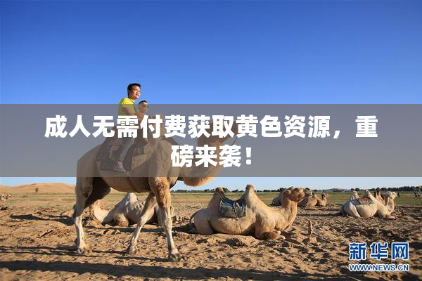 成人无需付费获取黄色资源，重磅来袭！
