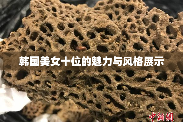 韩国美女十位的魅力与风格展示