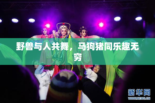 野兽与人共舞，马狗猪同乐趣无穷