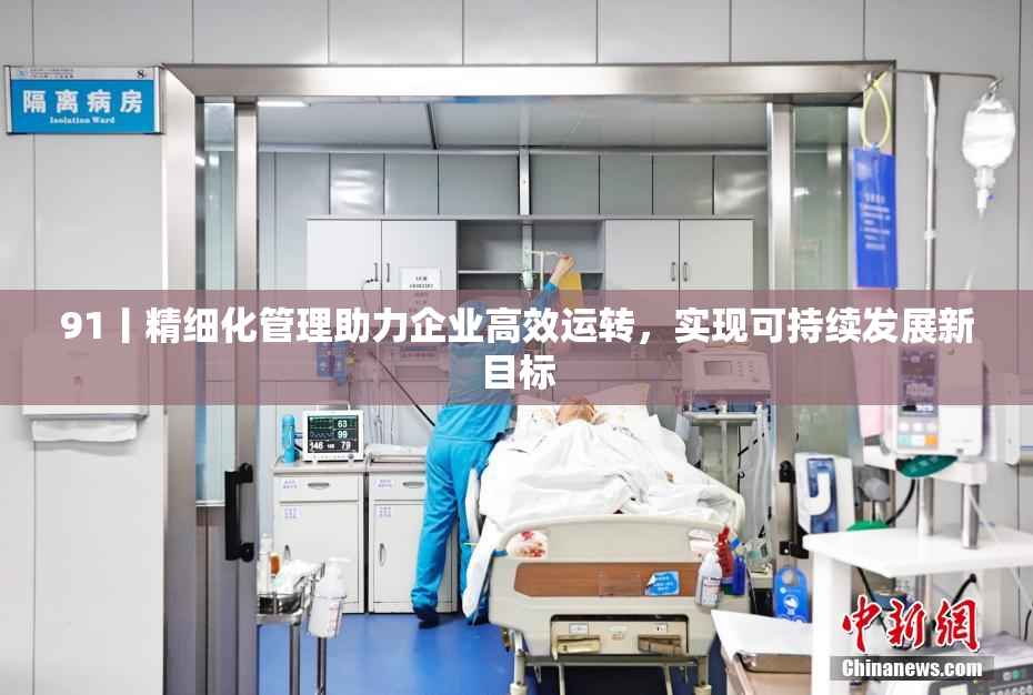 91丨精细化管理助力企业高效运转，实现可持续发展新目标
