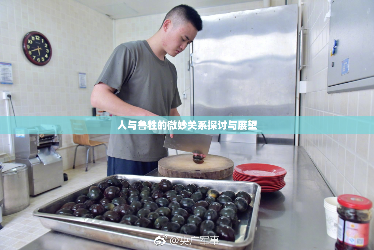 人与鲁牲的微妙关系探讨与展望