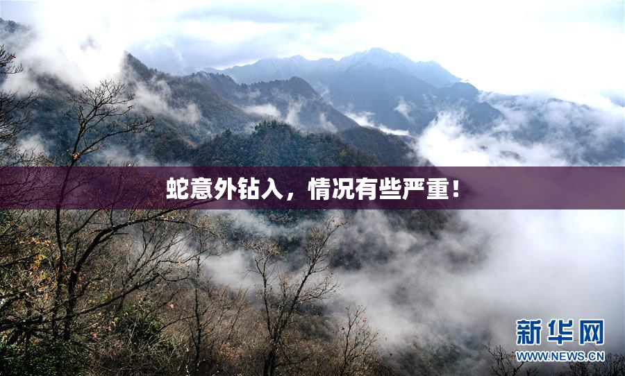 蛇意外钻入，情况有些严重！