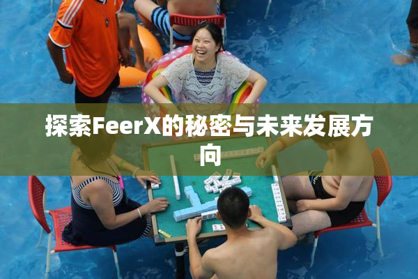 探索FeerX的秘密与未来发展方向