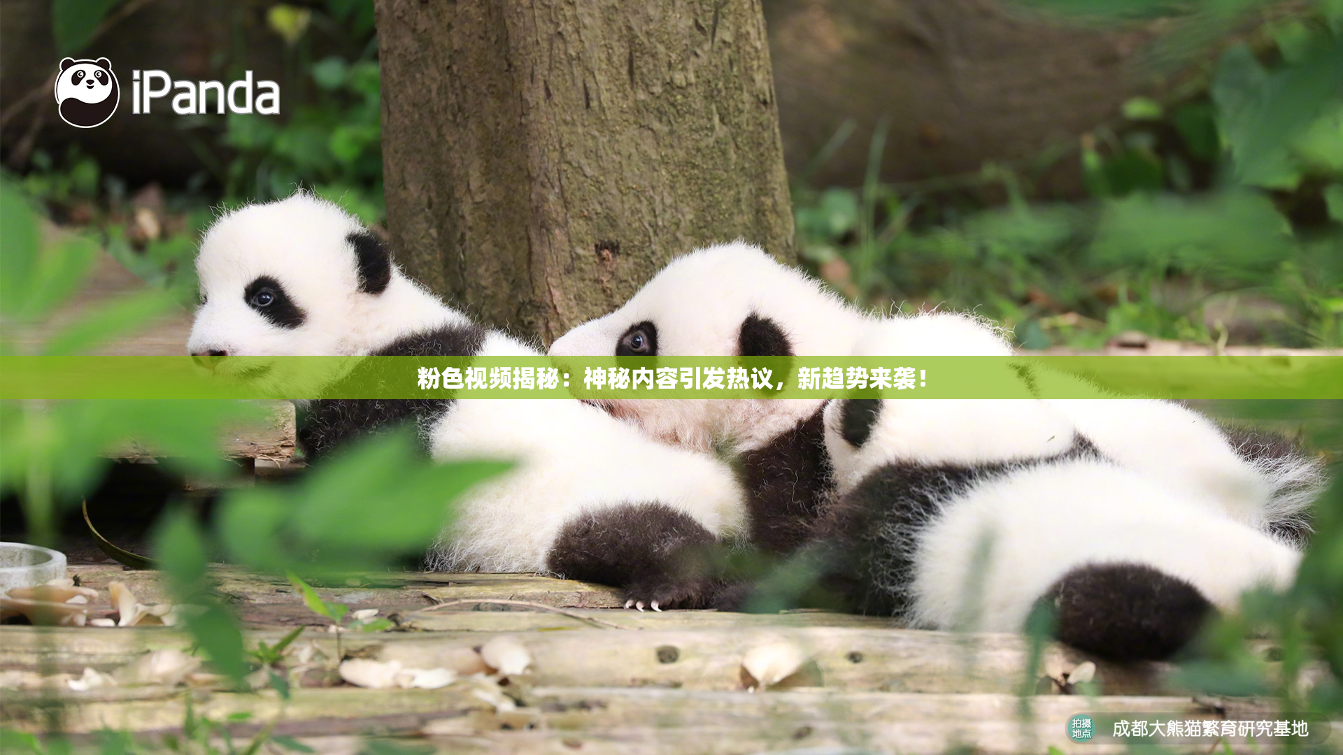 粉色视频揭秘：神秘内容引发热议，新趋势来袭！