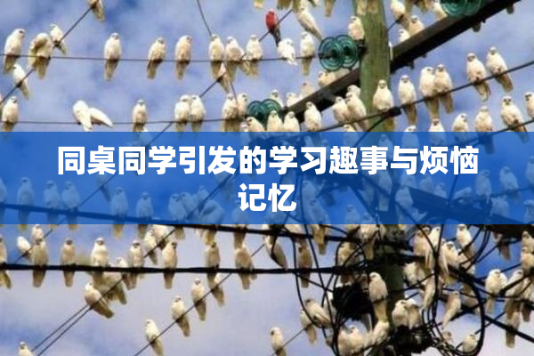 同桌同学引发的学习趣事与烦恼记忆