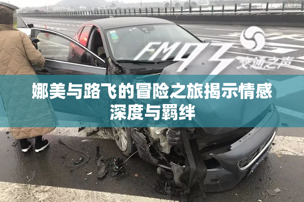 娜美与路飞的冒险之旅揭示情感深度与羁绊