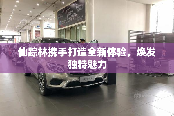 仙踪林携手打造全新体验，焕发独特魅力