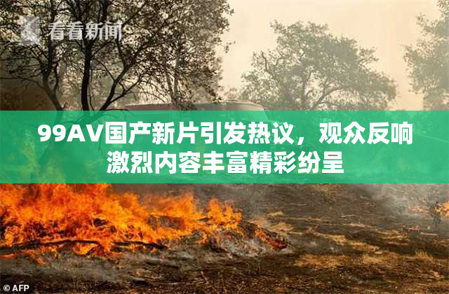 99AV国产新片引发热议，观众反响激烈内容丰富精彩纷呈