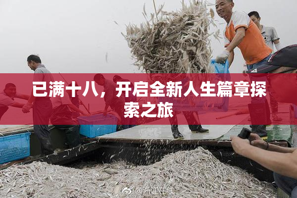已满十八，开启全新人生篇章探索之旅