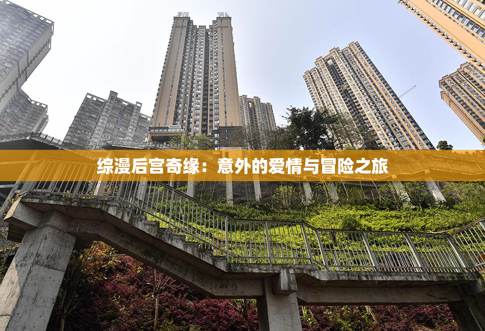 综漫后宫奇缘：意外的爱情与冒险之旅