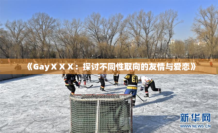 《GayⅩⅩⅩ：探讨不同性取向的友情与爱恋》