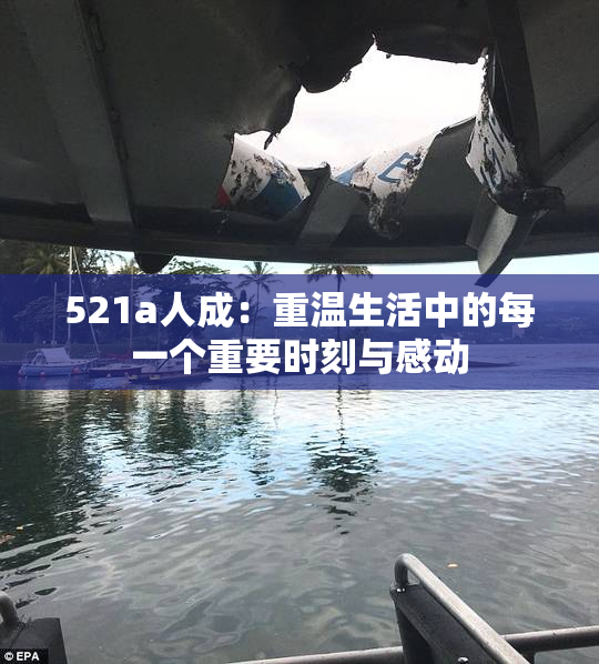 521a人成：重温生活中的每一个重要时刻与感动