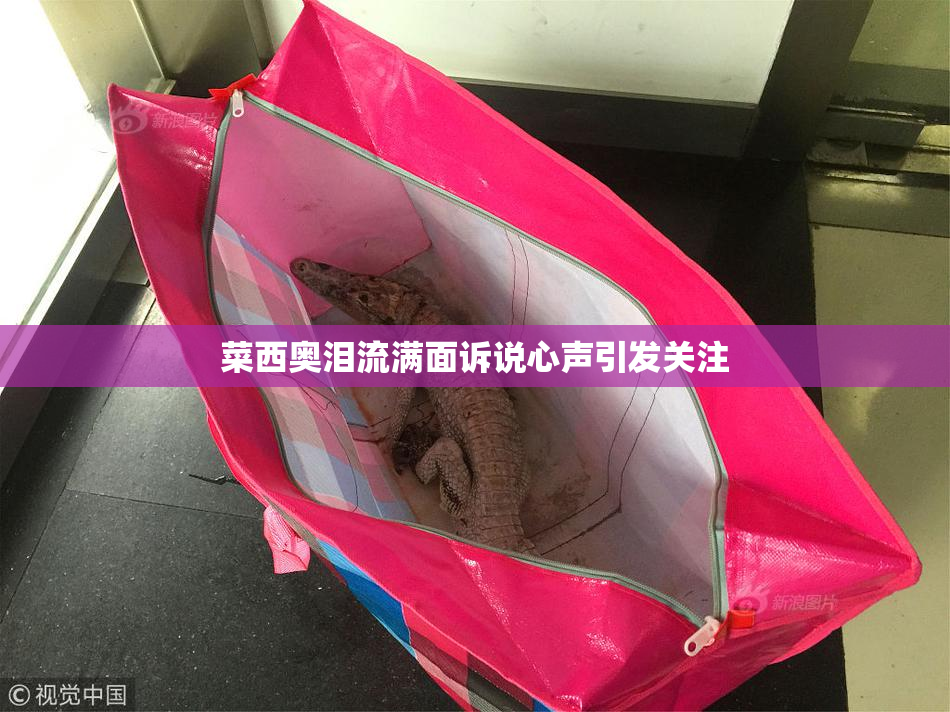 菜西奥泪流满面诉说心声引发关注