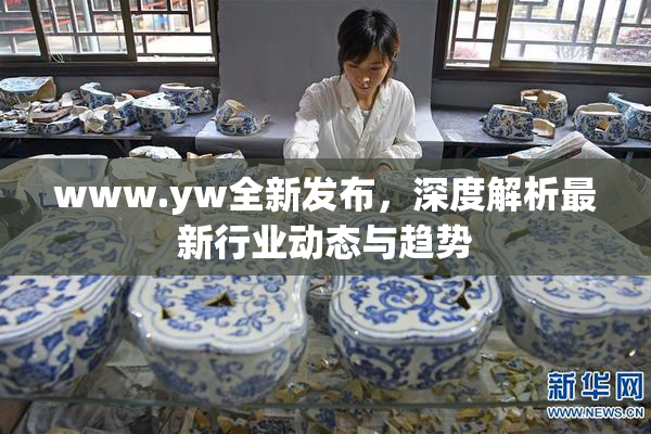 www.yw全新发布，深度解析最新行业动态与趋势
