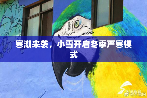 寒潮来袭，小雪开启冬季严寒模式