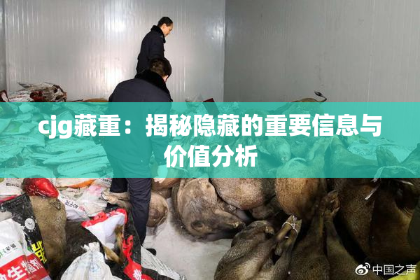 cjg藏重：揭秘隐藏的重要信息与价值分析