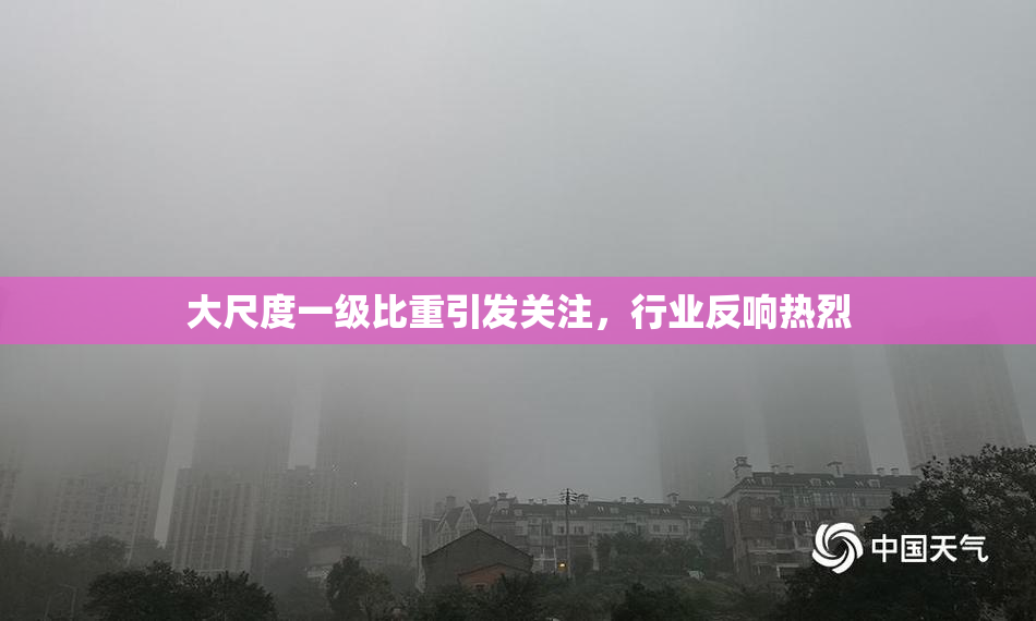 大尺度一级比重引发关注，行业反响热烈