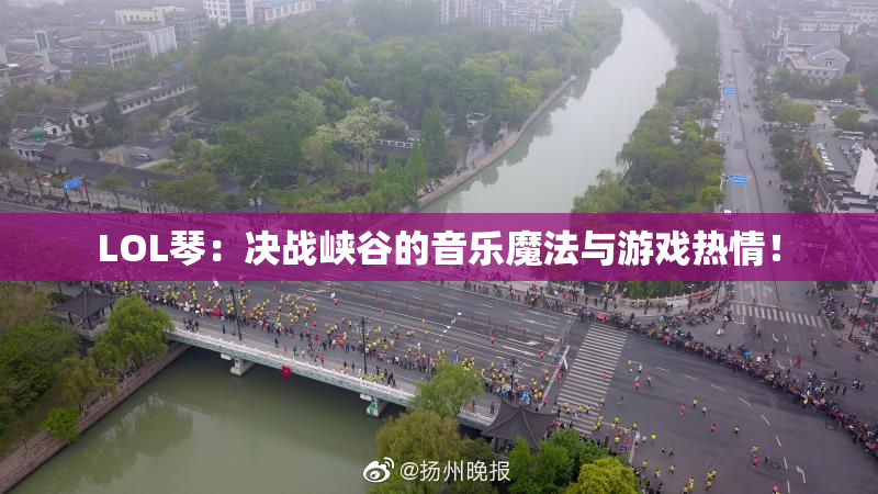 LOL琴：决战峡谷的音乐魔法与游戏热情！