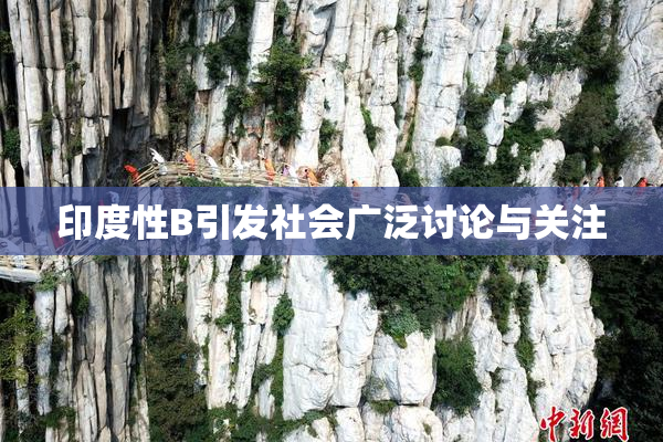 印度性B引发社会广泛讨论与关注