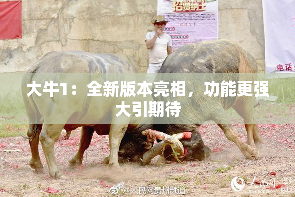 大牛1：全新版本亮相，功能更强大引期待