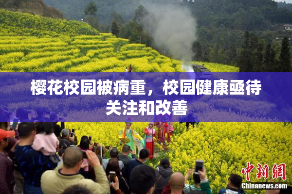 樱花校园被病重，校园健康亟待关注和改善