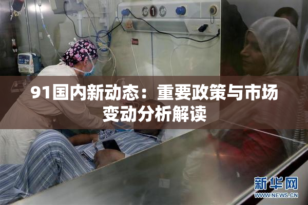 91国内新动态：重要政策与市场变动分析解读