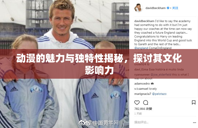 动漫的魅力与独特性揭秘，探讨其文化影响力