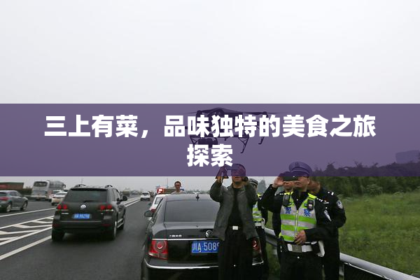 三上有菜，品味独特的美食之旅探索
